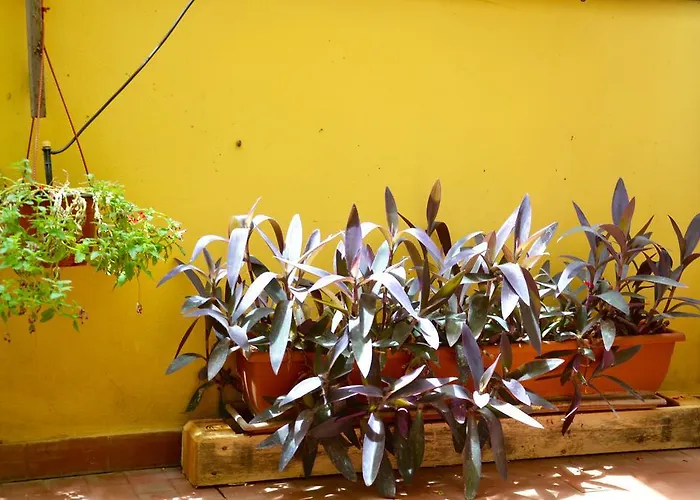 Restyling Acomodação com café da manhã  *
